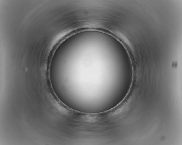 X0000091300831200708172207