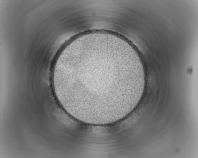 X0000091300832200708172207