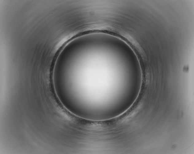 X0000091300834200708172207