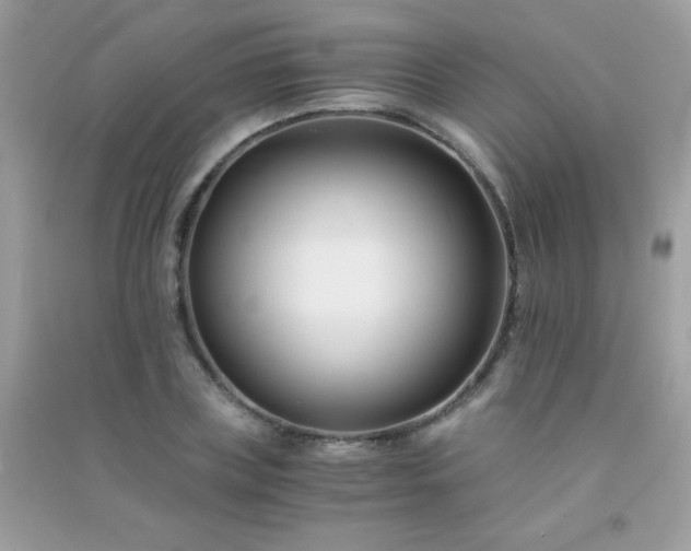 X0000091300835200708172207