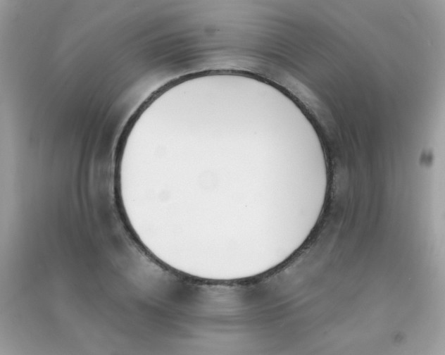 X0000091300836200708172207