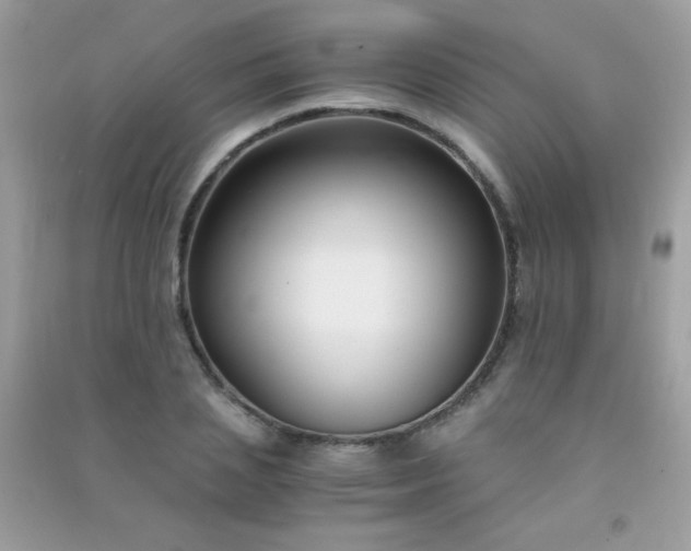 X0000091300837200708172207