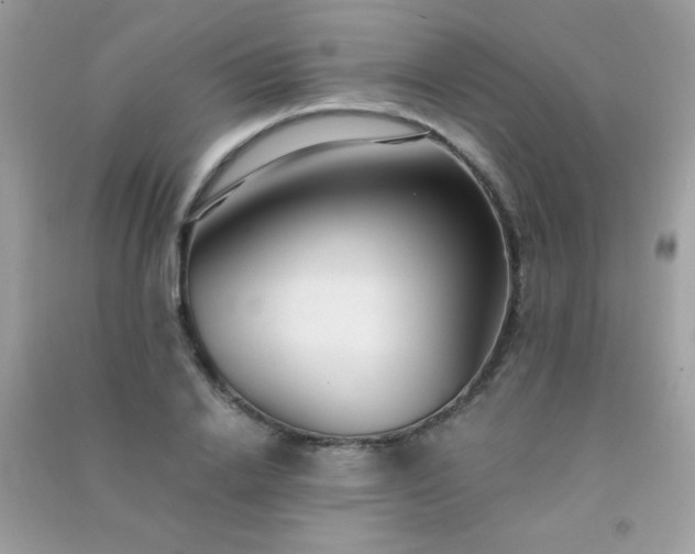 X0000091300838200708172207