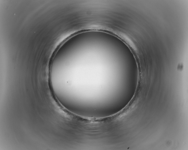 X0000091300839200708172207