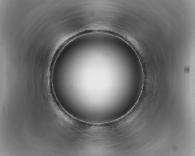 X0000091300840200708172207