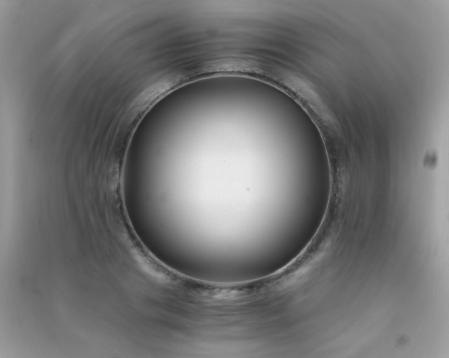 X0000091300841200708172207