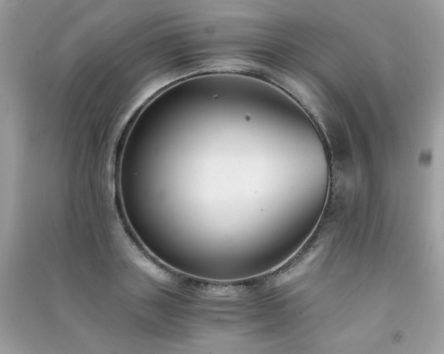 X0000091300843200708172207