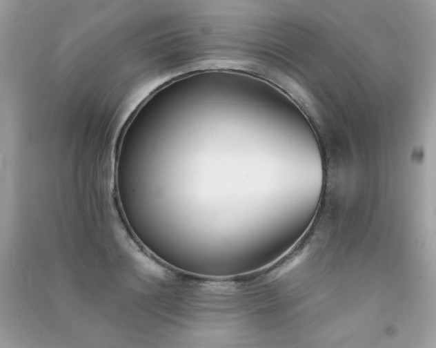 X0000091300844200708172207