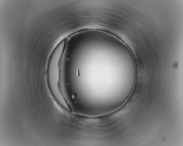 X0000091300845200708172207