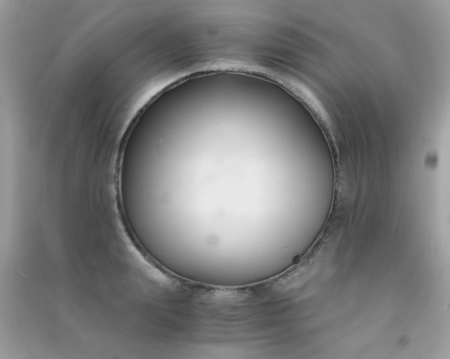 X0000091300847200708172207