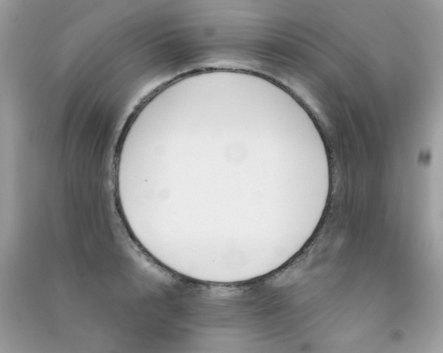 X0000091300848200708172207