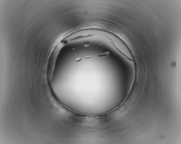 X0000091300850200708172207