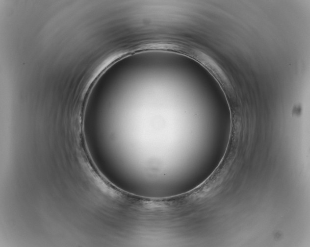 X0000091300852200708172207