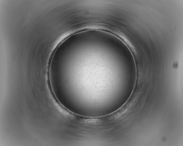 X0000091300853200708172207