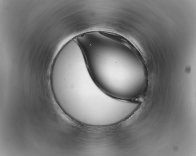 X0000091300854200708172207