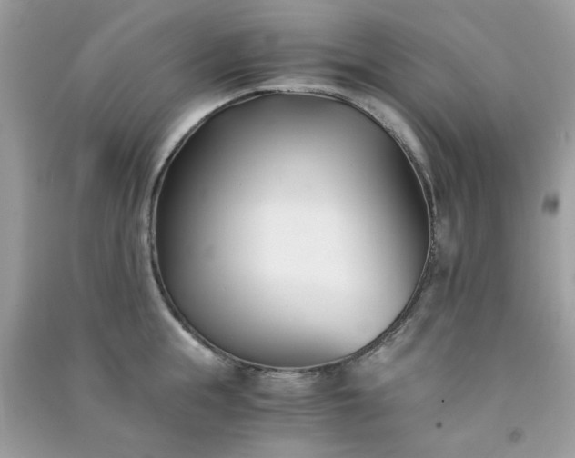 X0000091300855200708172207