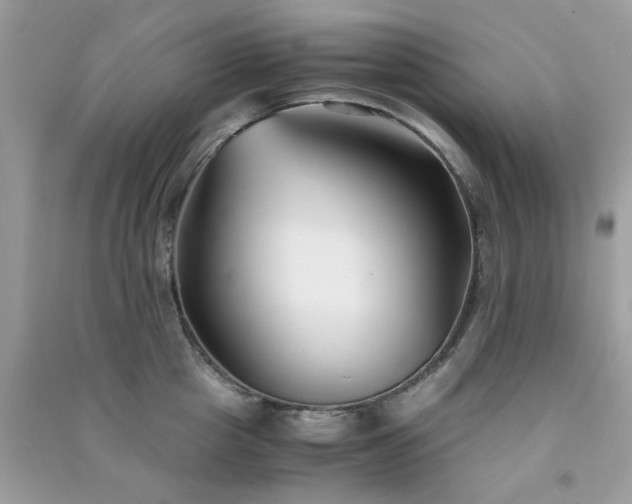 X0000091300857200708172207