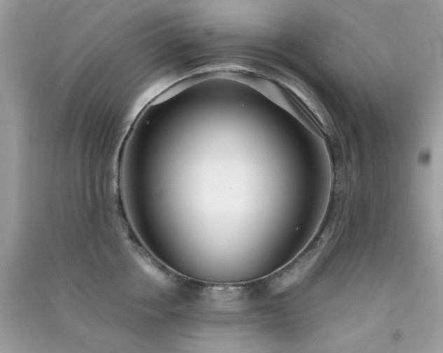 X0000091300858200708172207