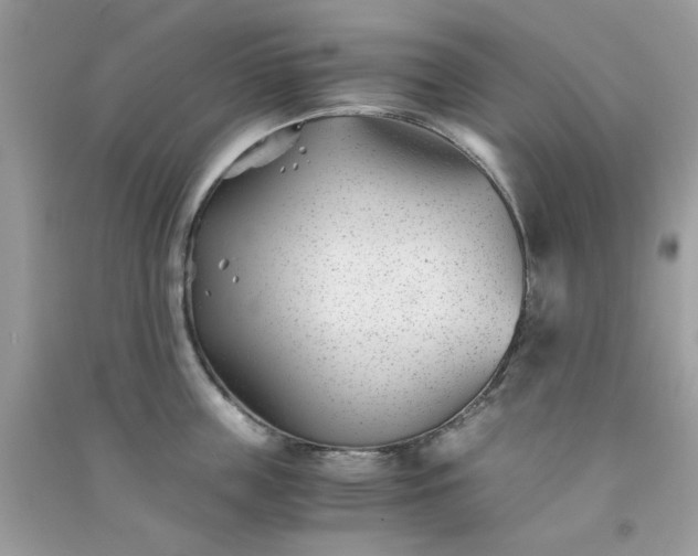 X0000091300859200708172207