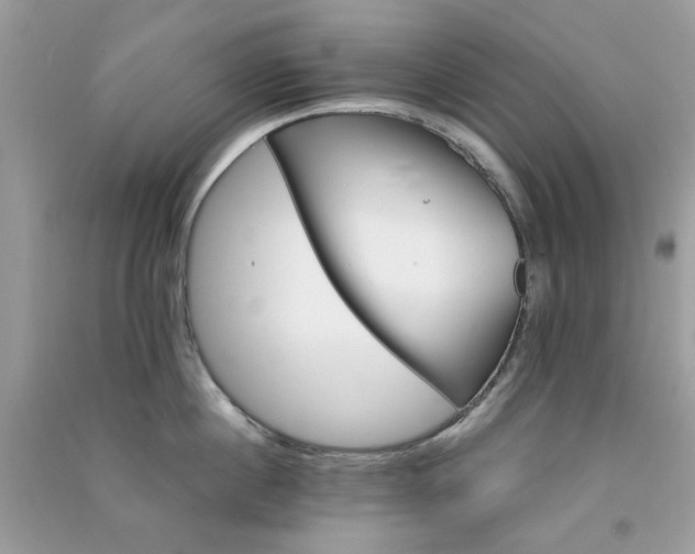 X0000091300860200708172207