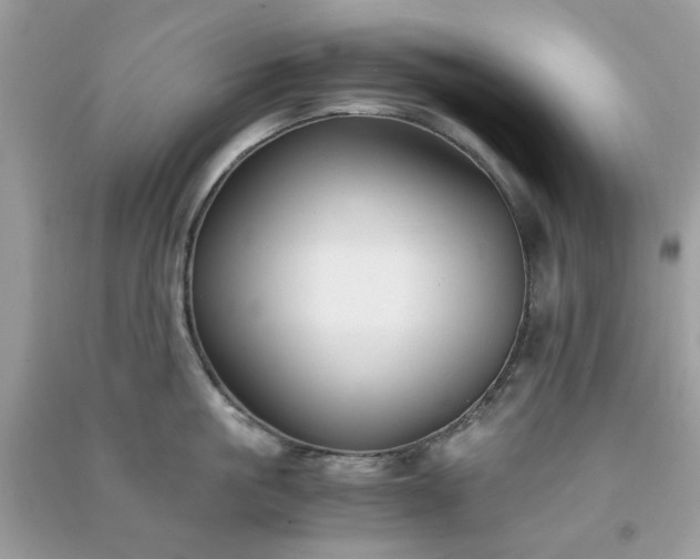 X0000091300861200708172207