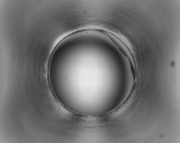 X0000091300862200708172207