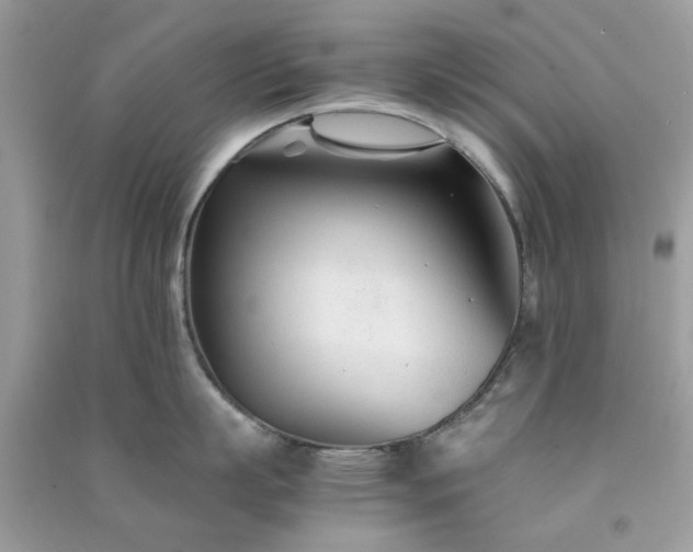 X0000091300863200708172207