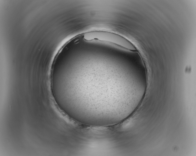 X0000091300864200708172207