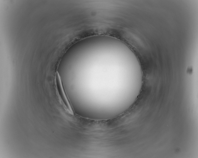 X0000091300865200708172206