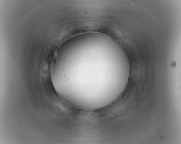 X0000091300866200708172206