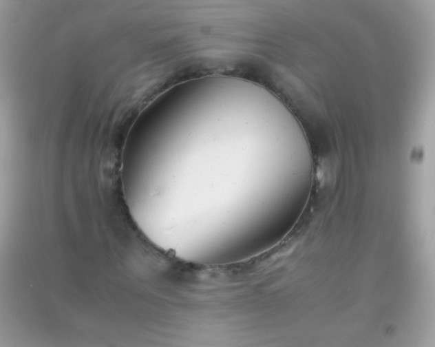 X0000091300867200708172206