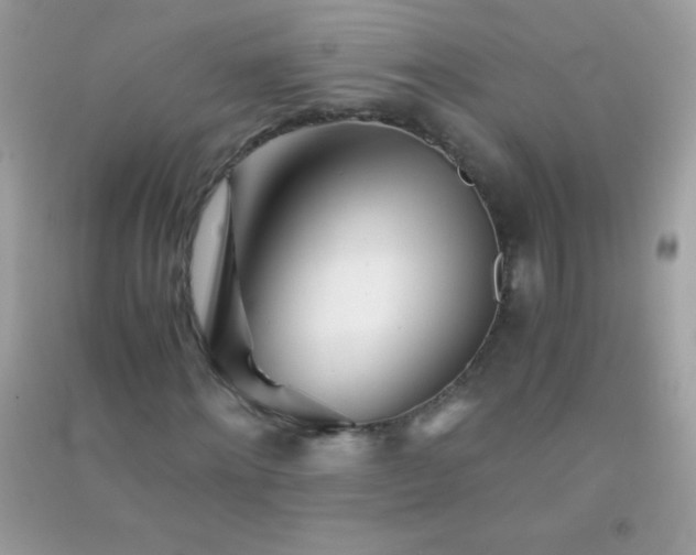 X0000091300868200708172206