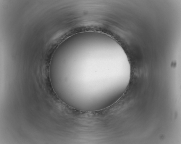 X0000091300869200708172206