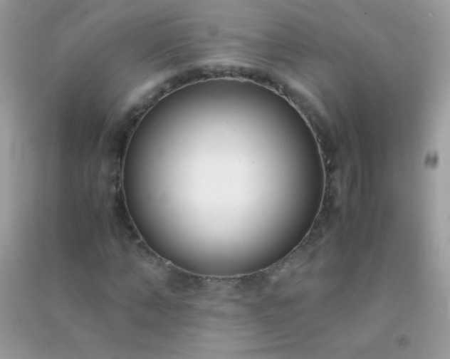 X0000091300870200708172206