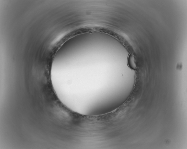 X0000091300871200708172206