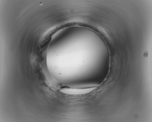 X0000091300872200708172206