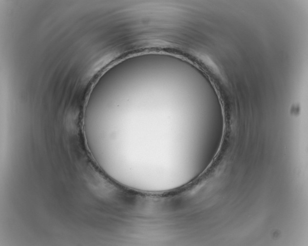 X0000091300873200708172206