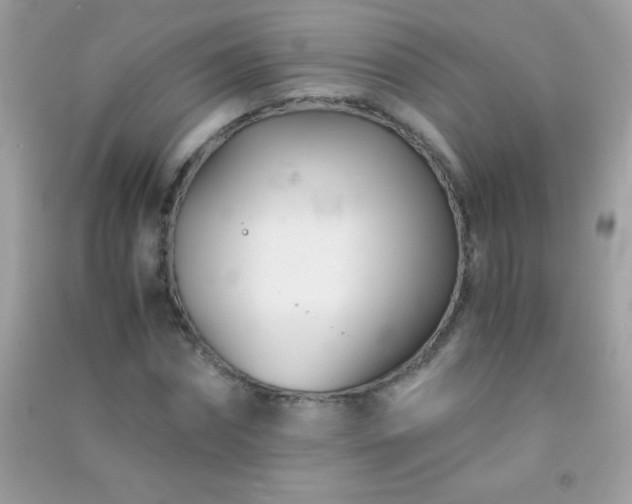 X0000091300874200708172206