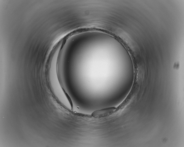 X0000091300876200708172206