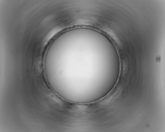 X0000091300878200708172206