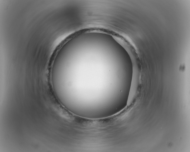 X0000091300879200708172206