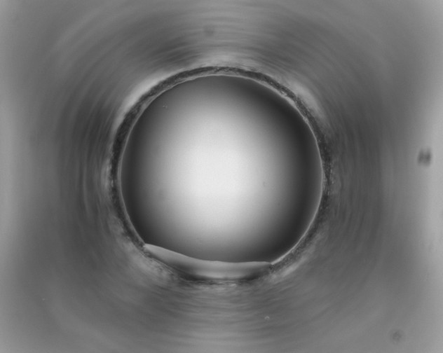 X0000091300880200708172206