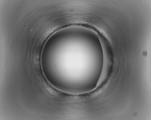 X0000091300881200708172206