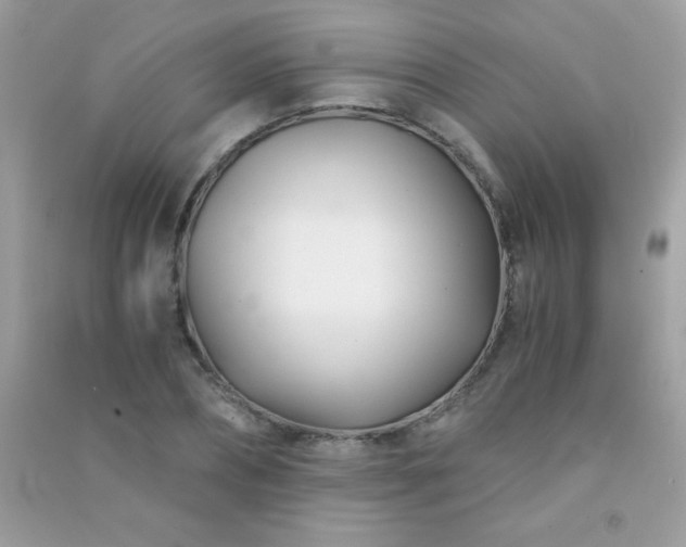 X0000091300882200708172206