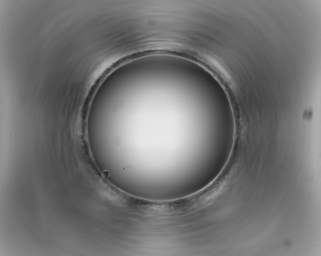 X0000091300883200708172206