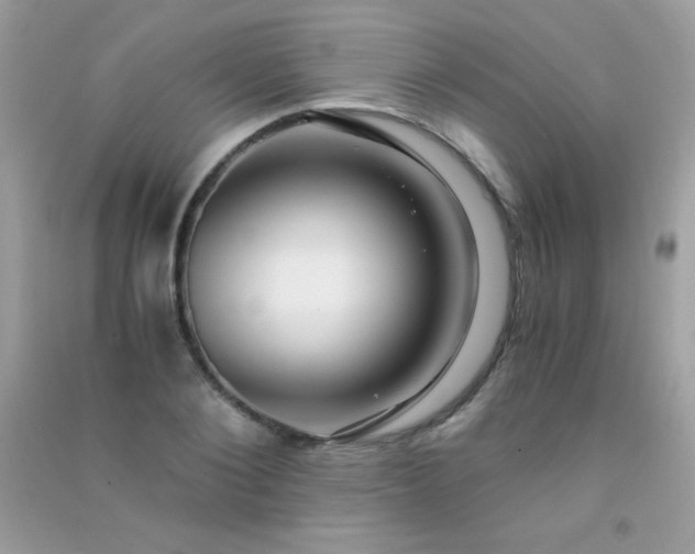 X0000091300884200708172206