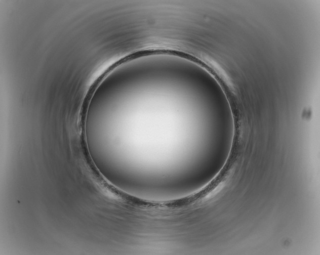 X0000091300885200708172206