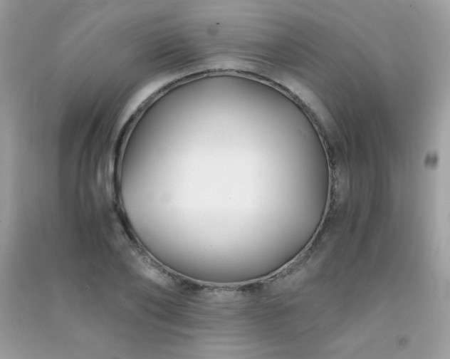 X0000091300886200708172206