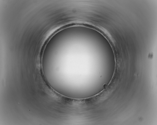 X0000091300887200708172206