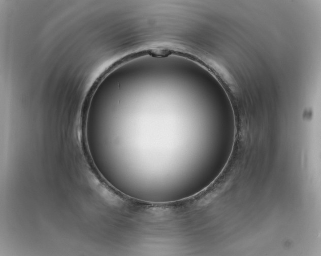 X0000091300888200708172206